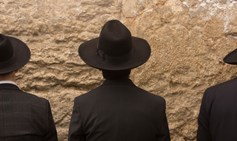 החברה החרדית בישראל - בין ניכור לשייכות