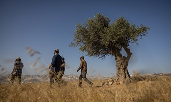 התיקון לחוק המעצרים המנהליים יפגע בביטחון ובשוויון